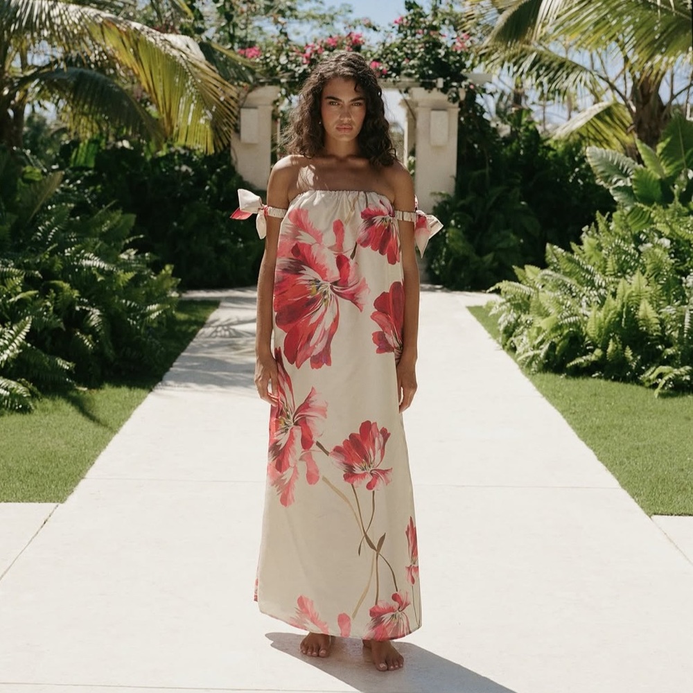 Hutch Strapless Maxi Dress in Cream and Pink Floral
